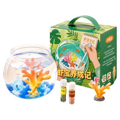 虾宝养成记儿童孵化观察玩具