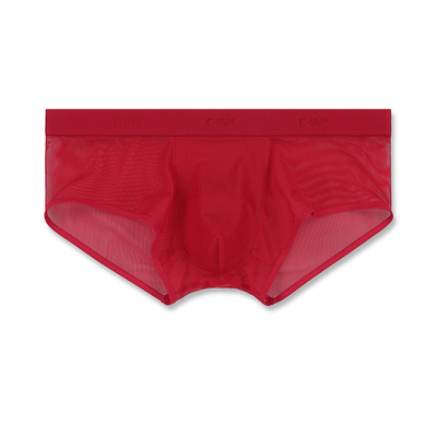 C-IN2网纱设计低腰性感平角裤