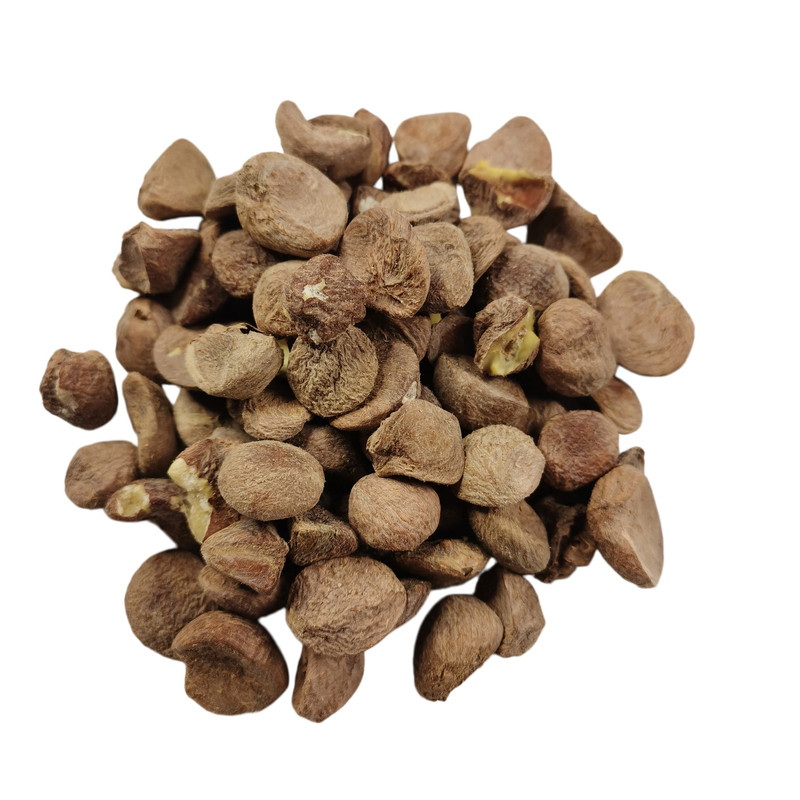 山茶籽仁橱窗角落造景铺设摆件