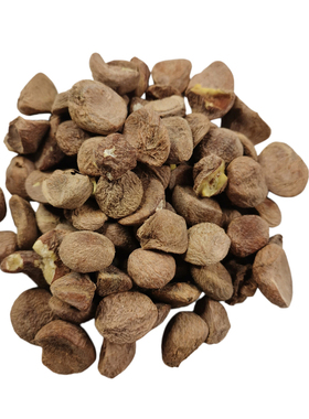 山茶籽仁橱窗角落造景铺设摆件
