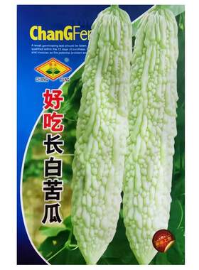 四季好吃长白苦瓜种子超大型