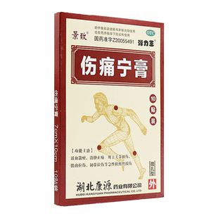 景致 康源 伤痛宁膏10片活血散淤消肿止痛关节扭伤韧带肌肉拉伤YP