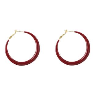 韩国复古红色耳圈2025年新款气质纯银针个性高级感女圆圈耳饰耳环