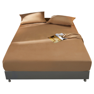 天花板A类牛奶绒全包绒床笠式加厚冬季床垫套保护罩床罩单件定制