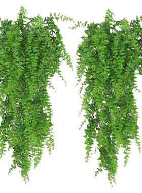 亚马逊仿真壁挂 波斯草藤条 人造悬挂蕨类植物藤蔓悬挂 绿色植物