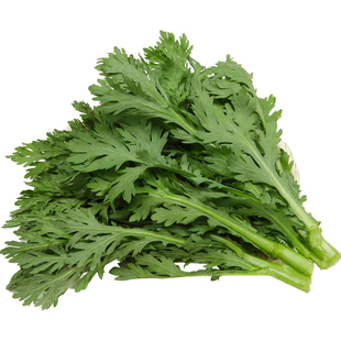 茼蒿菜籽大叶小叶茼蒿种子菜苗皇帝菜种籽大全秋冬季四季蔬菜种孑