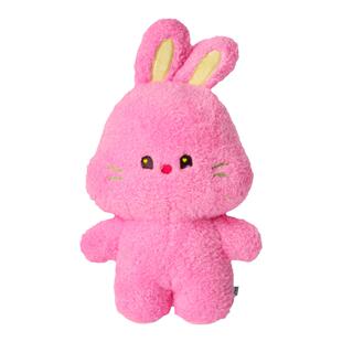 NEWJEANS bunini 毛绒中型玩偶 可爱周边 LINE FRIENDS 连我朋友