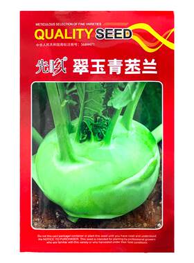 苤蓝种子紫苤兰种籽青芥兰头春秋
