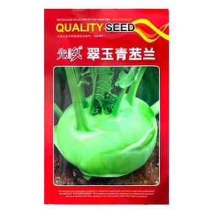 苤蓝种子紫苤兰种籽青芥兰头春秋季球茎水果甘蓝阳台庭院蔬菜种孑