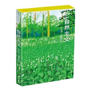 临摹卡《自然主义》英国绘画大师大卫·霍克尼绘 32张油画水彩风景花卉静物人物画精选作品集明信片临摹卡片