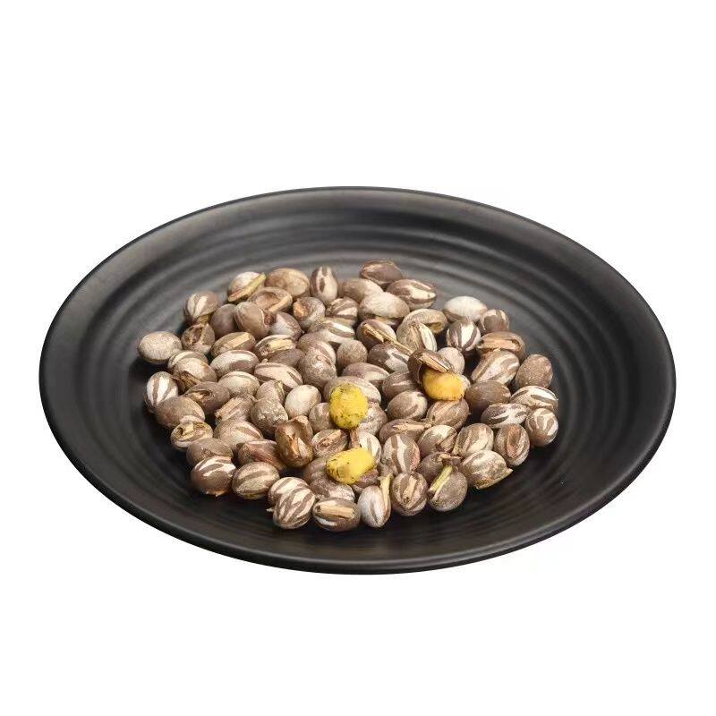 东北杨拉罐坦克虫活虫幼虫人吃洋辣子罐钓鱼饵食鸟食粮蜜袋鼯宠物