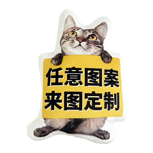 定制抱枕diy异形定做宠物枕头猫咪来图可印照片仿真靠枕无边丑猫