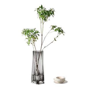 海星玻璃花瓶摆件客厅插花轻奢高级感透明水养鲜花水培富贵竹大号