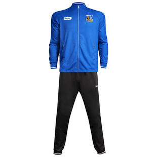 TIBHAR挺拔乒乓球运动服套装樊振东球衣同款长袖男款兵兵球训练服