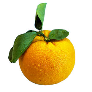 玉环广柑 温岭高橙 新鲜水果5斤手剥柑橘橙子应季台州农家特产