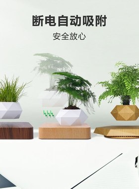 HCNT磁悬浮花盆ins日式创意摆件礼物简约花盆网植物桌面小流行红