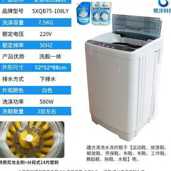 鹭洋全自动滚筒洗鞋机家用小型专店干水甩干一体烘干商用脱洗业刷