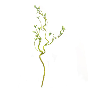 爬宠饲养箱造景藤条树蛙睫角守宫蜥蜴寄居蟹攀爬蛇仿真绿色藤蔓