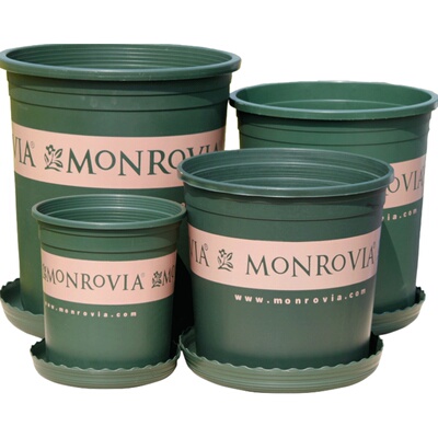 环球加仑盆绿萝月季加厚树脂简约