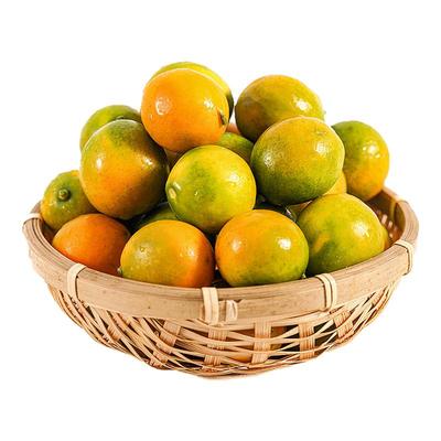 2025广西脆皮金桔鲜果金桔现摘新鲜水果多汁金桔孕妇整箱包邮