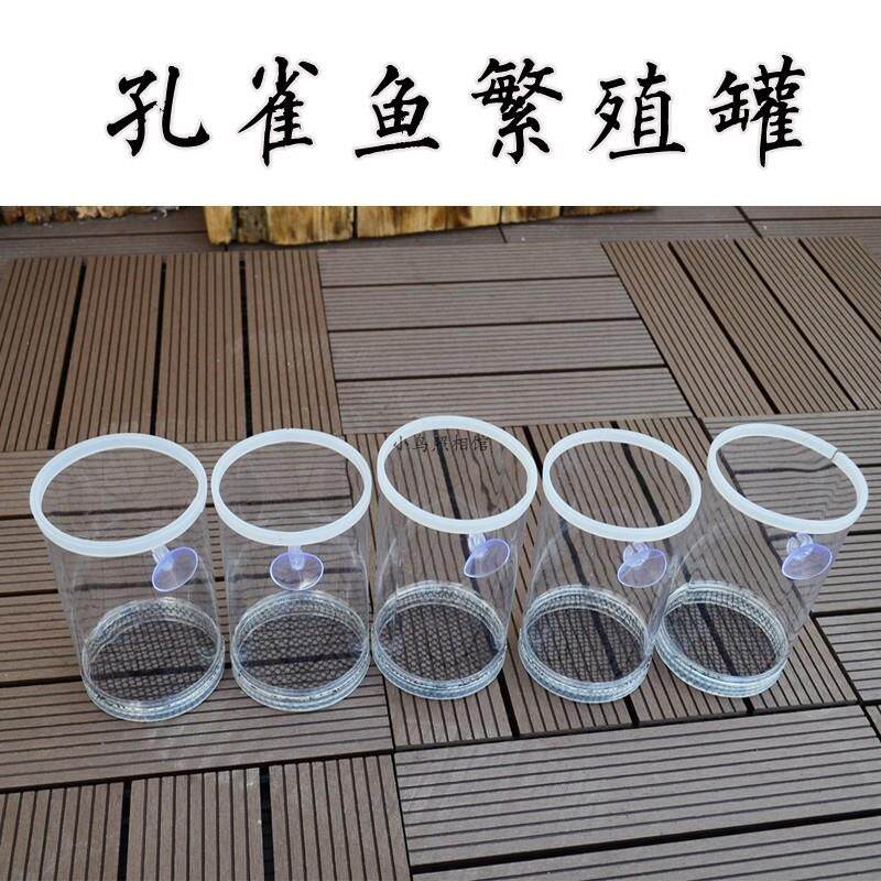 孔雀鱼繁殖盒 鱼缸隔离网产子罐产箱母鱼生小鱼分离产房大孵