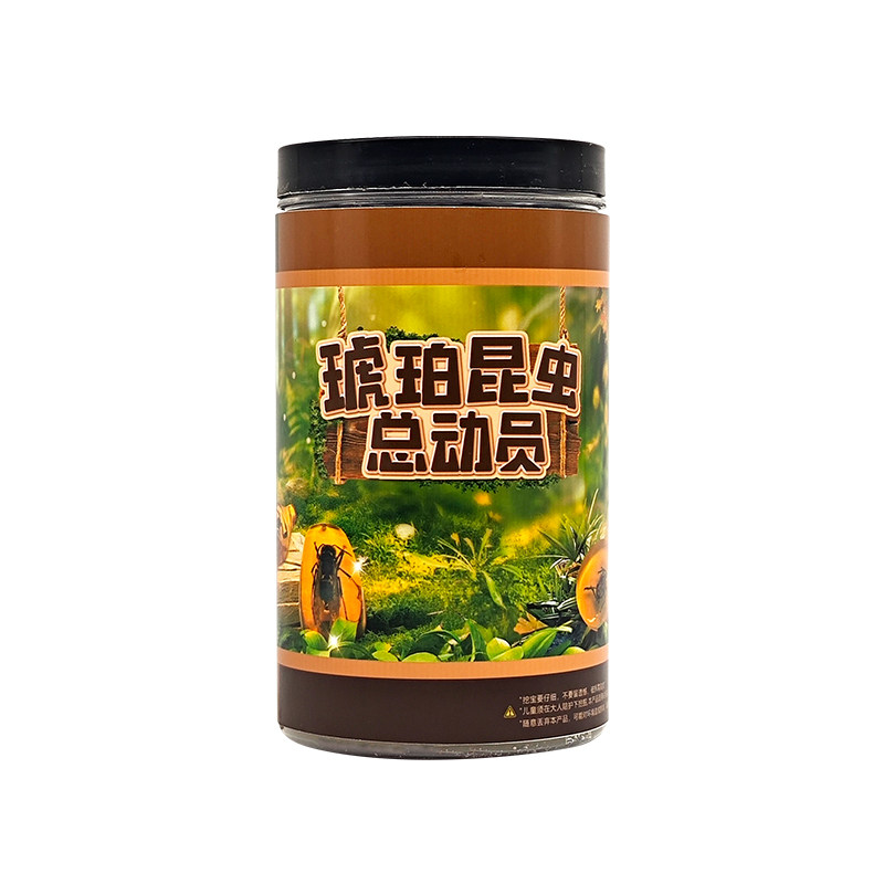 儿童考古挖掘玩具化石琥珀
