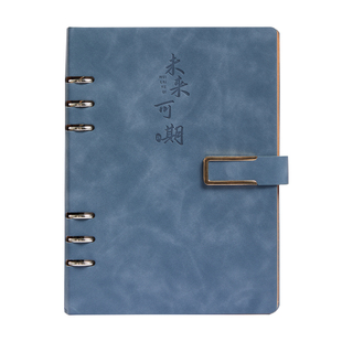 a5笔记本本子2025年新款b5活页本日历皮面记事本商务办公可拆卸工作会议记录本礼盒学生高颜值日记本logo高级
