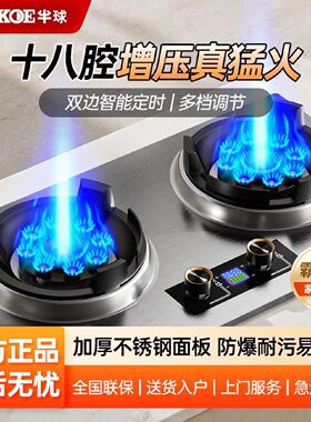 半球十三腔燃气灶家用直喷猛火双灶定时嵌入天然气液化气双灶