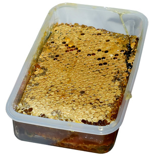 野生蜂巢蜜嚼着吃蜂蜜纯正天然老巢蜜农家正宗土蜂蜜自产蜂巢蜂窝