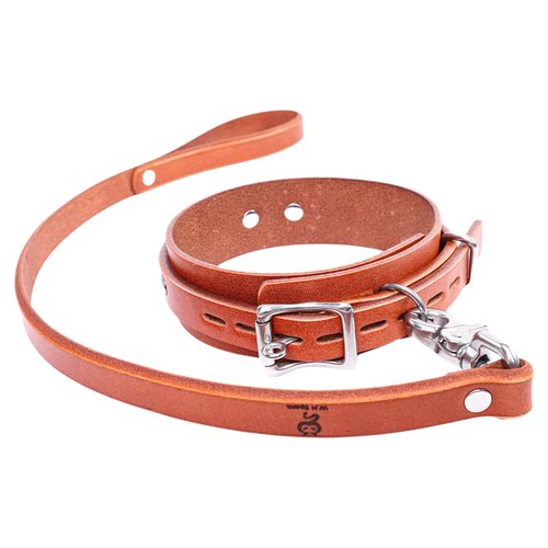 W.H Spank项圈皮质牵引链项链脖圈颈圈个性K9大型犬情侣夫妻