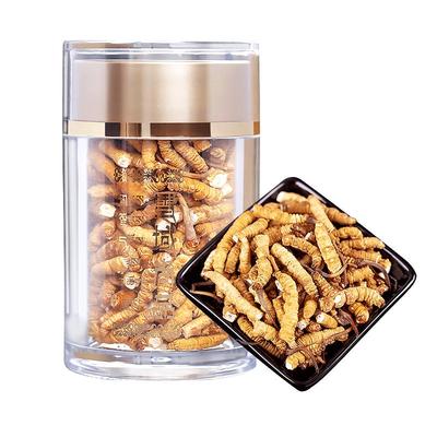 正品头期自用佳品10克冬虫夏草