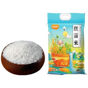 稻田绿洲丝苗米10斤长粒香米新米象牙米猫牙大米10kg煲仔饭20斤