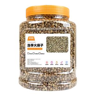 火麻子鹦鹉粮食纸壳麻子奖励零食油脂皮火麻籽麻仁鸟粮饲料小鸟食