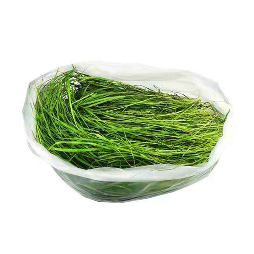 25年烘干提摩西干草段北提兔子用品粮草荷兰猪龙猫磨牙兔粮兔饲料