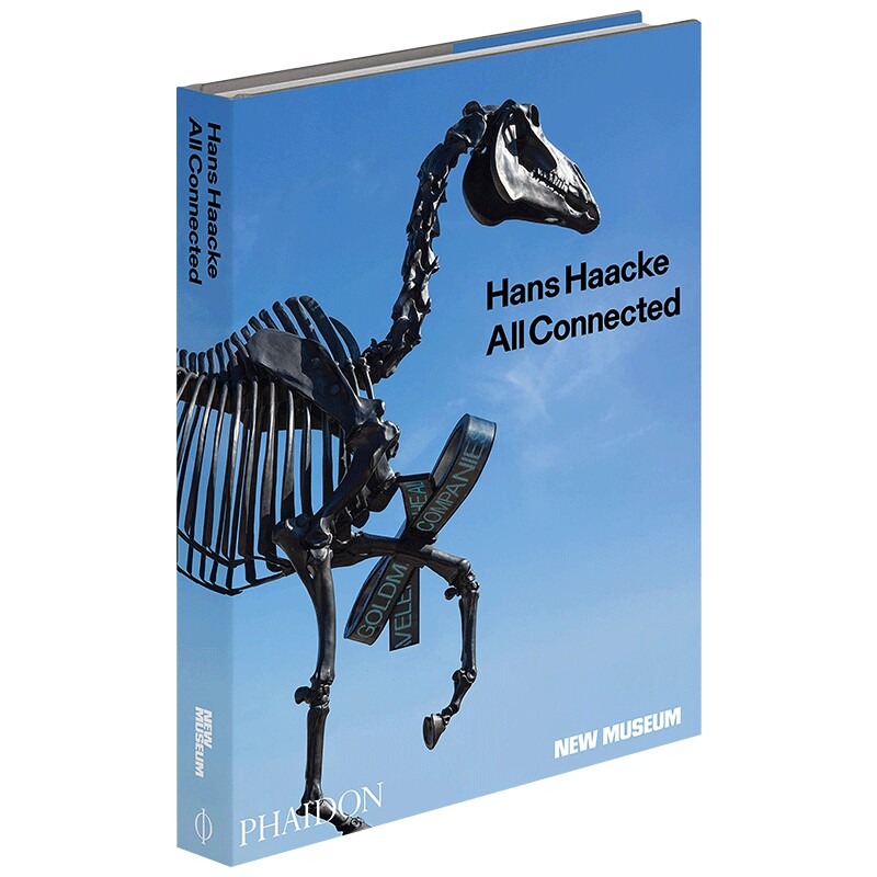 Hans Haacke 汉斯哈克 观念艺术进口原版英文书籍