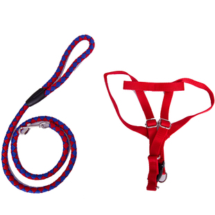 带背胸狗绳狗链子金毛萨摩耶泰迪宠物用品牵引绳遛狗绳