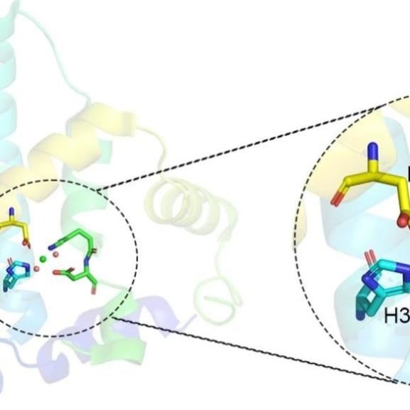 分子动力学模拟DFT MS poster studio带教程文件出图
