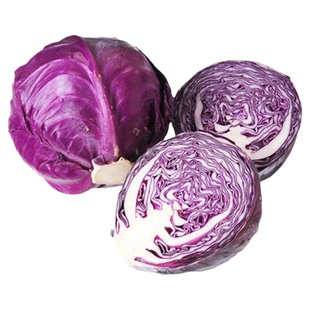 紫云紫甘蓝种子紫辉种籽紫甘兰包心菜春秋季四季日本蟋蟀牌紫风籽