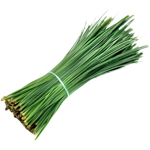 新鲜马尾松针50g 大松针非蓬莱松西餐日料酒店餐饮摆盘装饰点缀