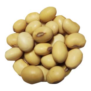 广西黄豆新款特产隆安农村土黄豆农家自种小黄豆打豆浆发豆芽