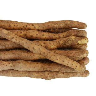 河南焦作温县垆土铁棍山药正宗铁杆鲜淮山药怀山约现挖30-38厘米