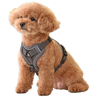 泰迪狗狗牵引绳背心式小型犬狗链子胸背带博美比熊遛狗绳子狗用品