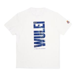 21/22赛季皇家西班牙人俱乐部丨球员助威T恤印花武磊球迷周边短袖