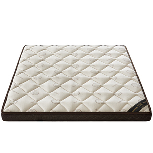 里米 床垫棕垫软硬两用15cm20cm厚定制任意尺寸偏硬塌塌米棕垫