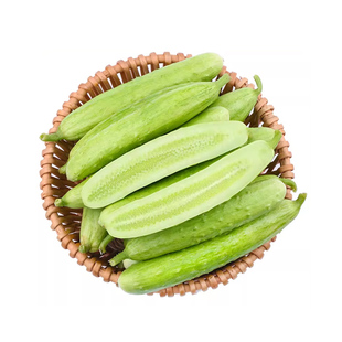 海阳白玉黄瓜种子水果黄瓜种籽四季蔬菜种籽高产黄瓜籽阳台盆栽