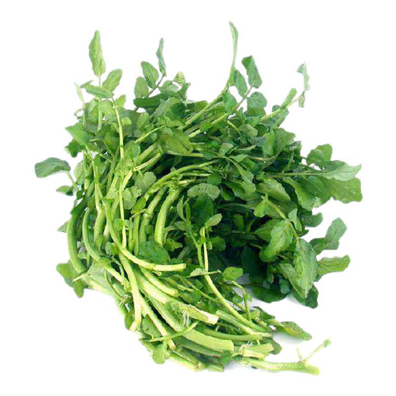 沁蕊新鲜西洋菜500g豆瓣菜水菜