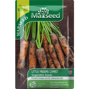 【MARSEED火星家】Little Fingers手指胡萝卜种子籽孑苗