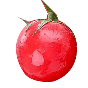 新鲜现摘圣女果小番茄千禧广西当季水果农家自种自然熟樱桃