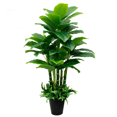 仿真植物不会枯萎无需养护