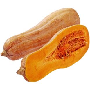 云南老南瓜农家自种当季新鲜粉面甜糯小宝宝辅食整箱蒸煮密本南瓜